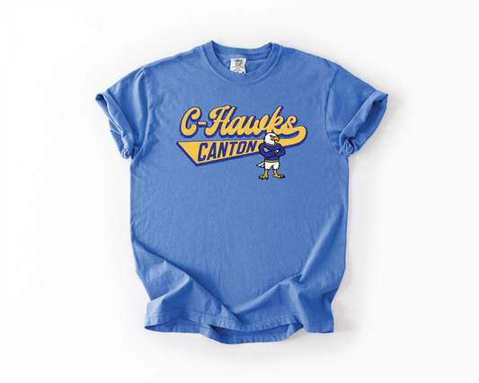 C-Hawks & Hawk
